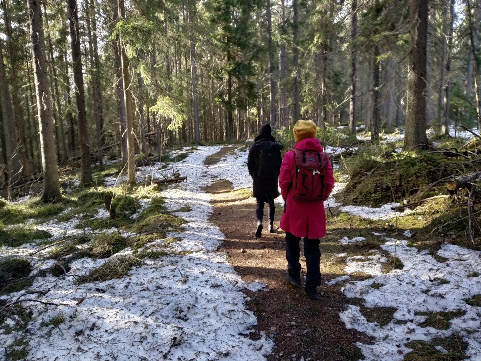 Two people walk on a path in the forest